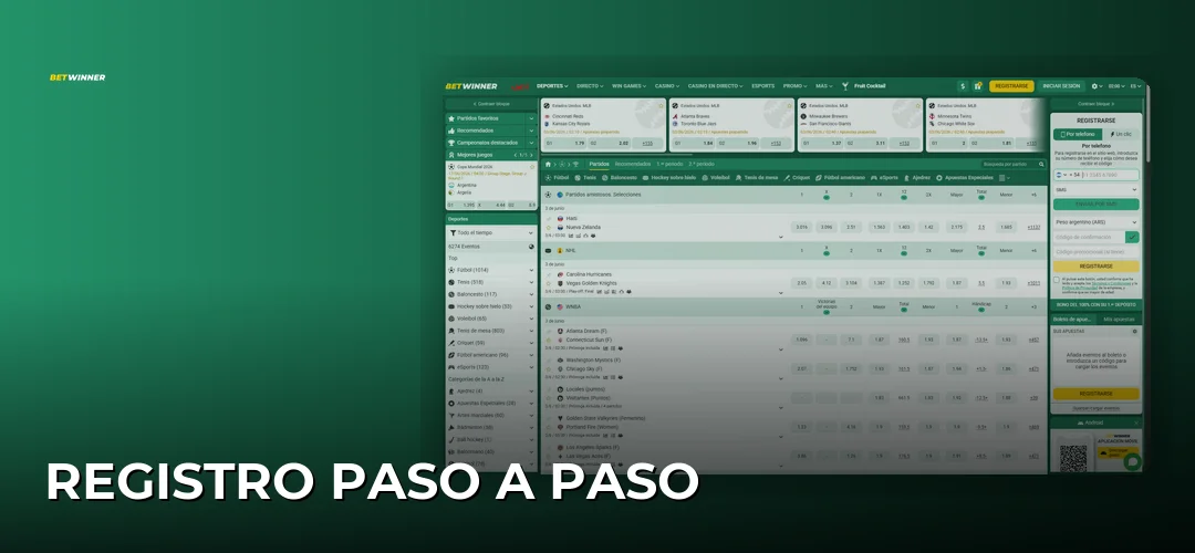 Registro paso a paso