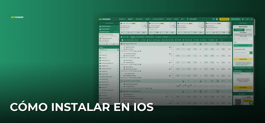 Cómo instalar en iOS